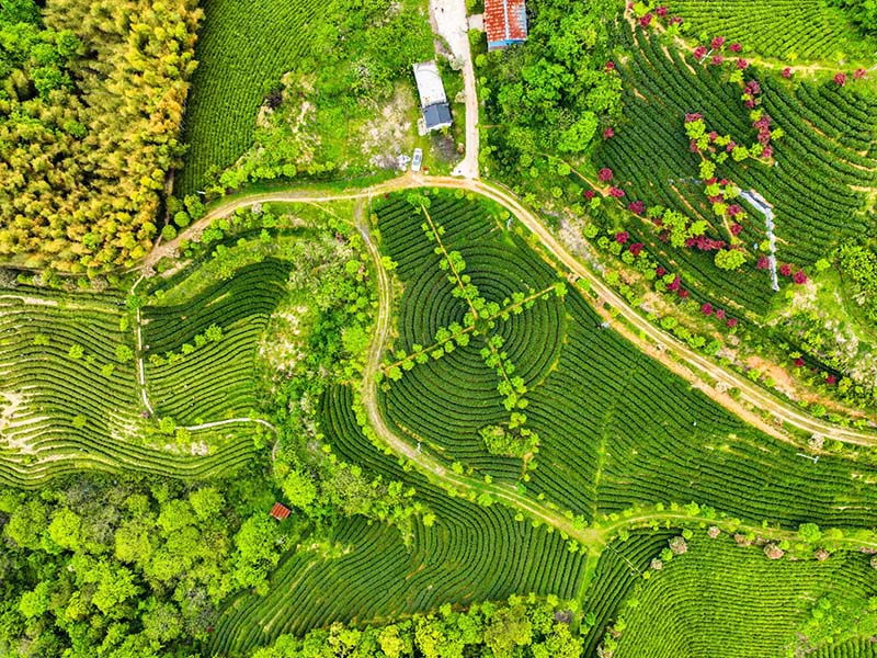 宜昌基地照片-03